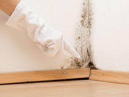 Best Asbestos and Lead Testing During Mold Inspection  in Glespie, IL